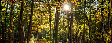 transfert-environnement-societe_acc-boucle-01_392x140